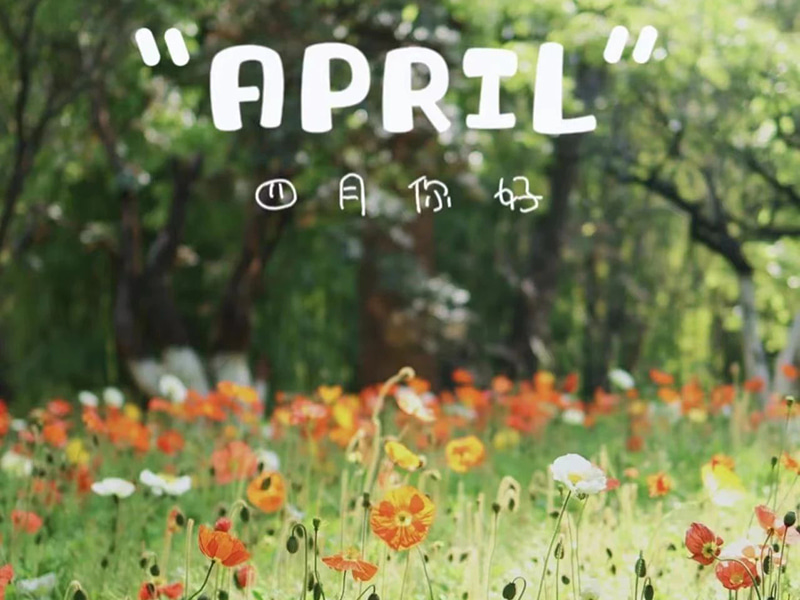 Narodeninové priania丨Všetko najlepšie k narodeninám tým, ktorí sa narodili v apríli